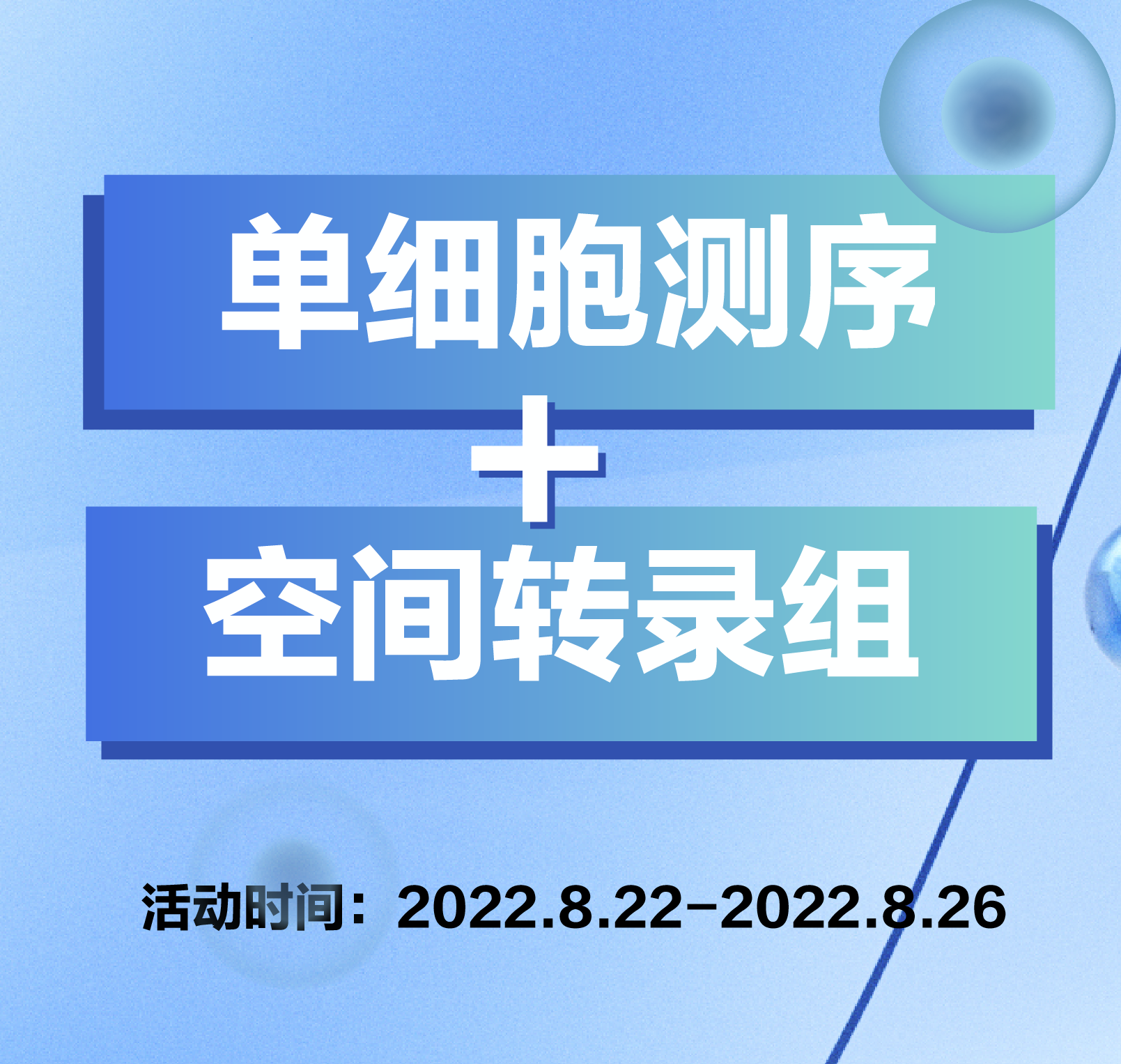 单细胞测序+空间转录组